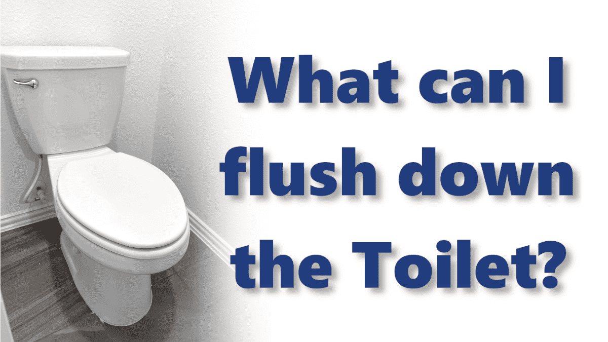 flush down toilet