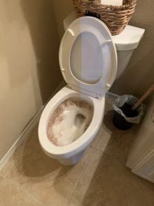 dirty toilet showing evidence of toilet clog