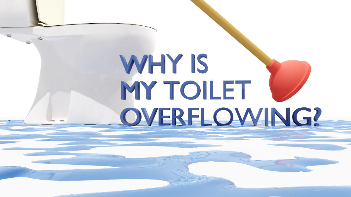 Toilet Overflow