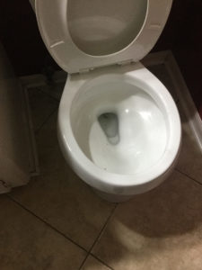 cleared out toilet